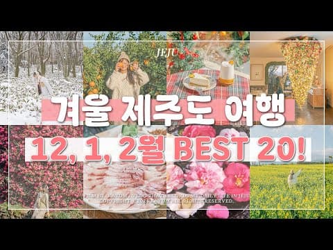 겨울 제주 여행, 협재 오션뷰 카페 웨이뷰에서 인생샷!