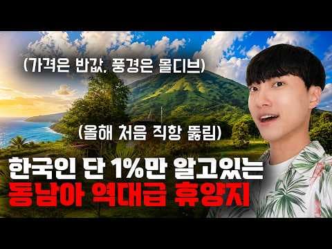 만화도 여행: 티누투한 죽, 나시고랭! 가성비 맛집 탐험