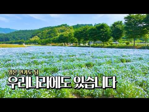6월 삼척 여행: 마음이 뻥 뚫리는 강원도 전망대 절경
