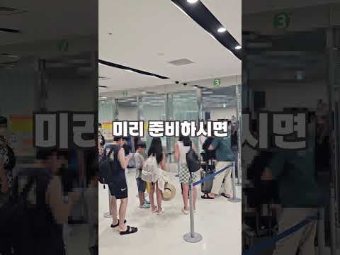 일본 여행 필수 준비물! 비지트 재팬 웹으로 입국 심사 빠르게 끝내는 법