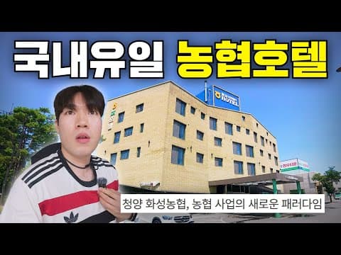 칠갑산 NH 농협 호텔 여행 후기: 깔끔한 객실과 상쾌한 풀내음