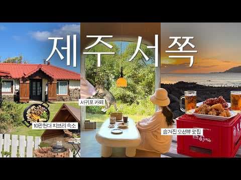 제주도 여행: 삼방산 핑크뮬리와 팜파스 정원, 가을 낭만 여행