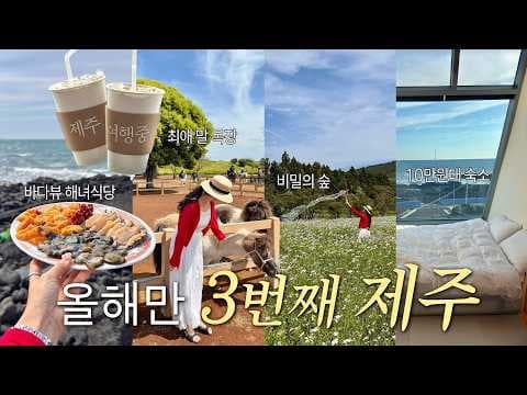 제주 여행: 쌀 베이글 맛집 추천! 바다뷰 카페와 돌담 고깃집까지