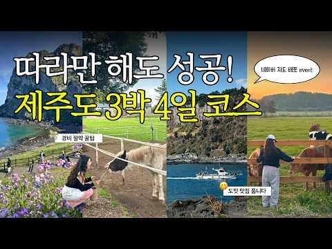 나오다 앱으로 떠나는 제주도 동쪽 여행: 서우봉, 비자림, 성산일출봉