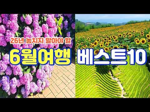 수국 명소 BEST 3 추천! 저구왕수국, 장생포, 김해 여행