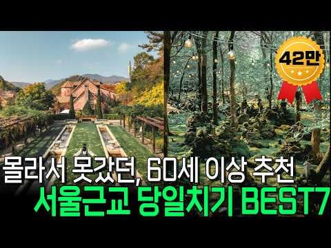 편안한 여행을 위한 교통편 완벽 비교: 셔틀버스, 대중교통, 자가용