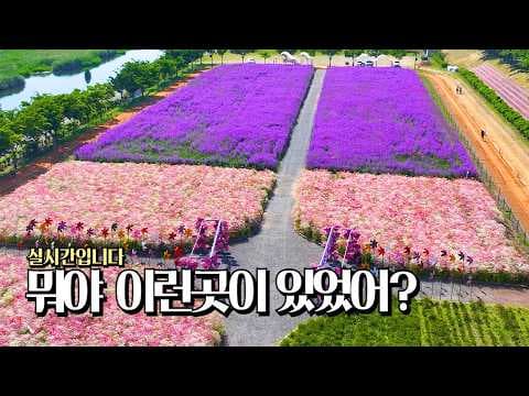 5월 국내 꽃구경 여행지 추천 BEST 5! 놓치면 후회해요